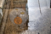 Knee Deep