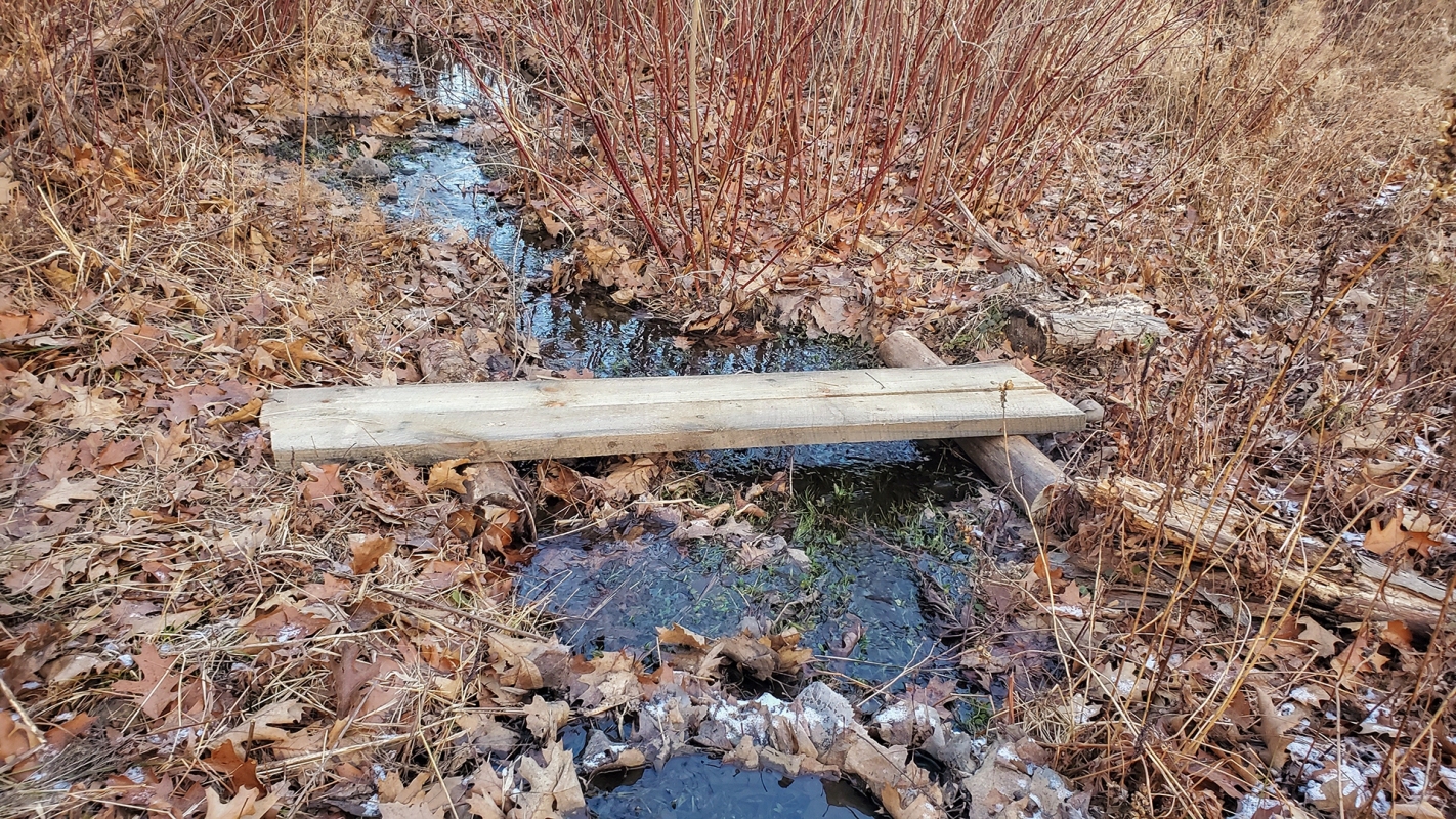 Green Trail Bridge
