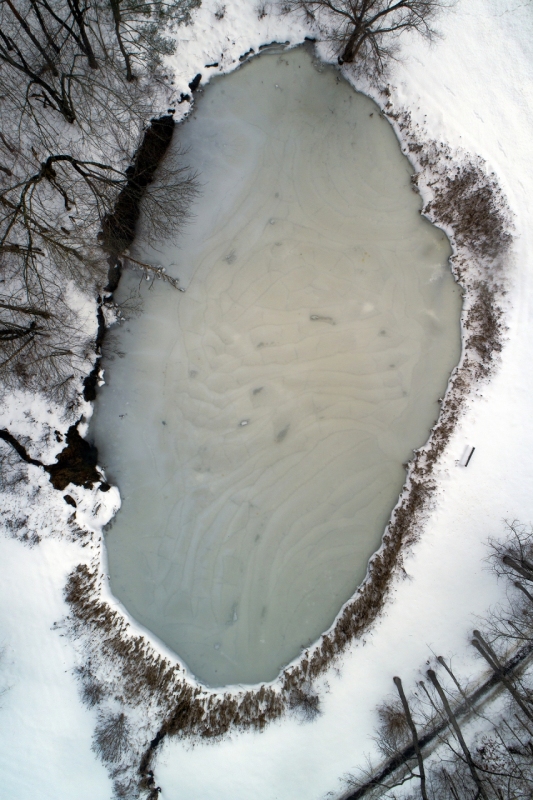 Pond Pattern