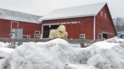 Get Off My Snow!