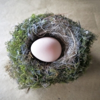 Nest Egg