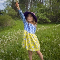 Give Me Your Dandelions