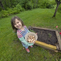 Eggy Garden