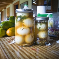 Pickely Eggs