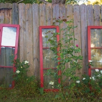 Window Whimsy