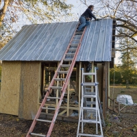 Sheds and Ladders