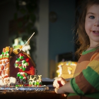 Gingerbread Disaster Zone