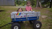 Custom Paint Job