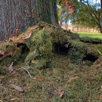 Fairy House Compound