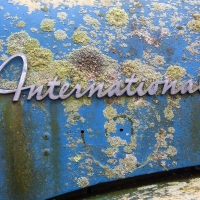 International Blue