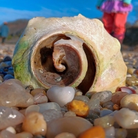 On the Beach