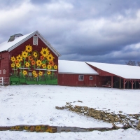 Flower Barn