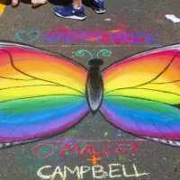 Rainbow Butterfly