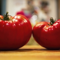 Tomatoes Everywhere!