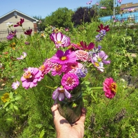 August Bouquet