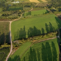 5 O'Clock Shadows