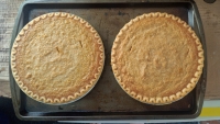 Homemade Pumpkin Pies. Yum!
