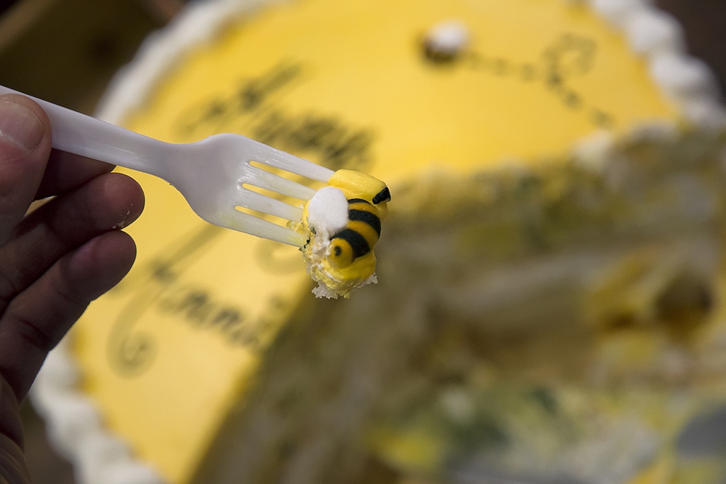 Waiter Theres a Bee in my Cake