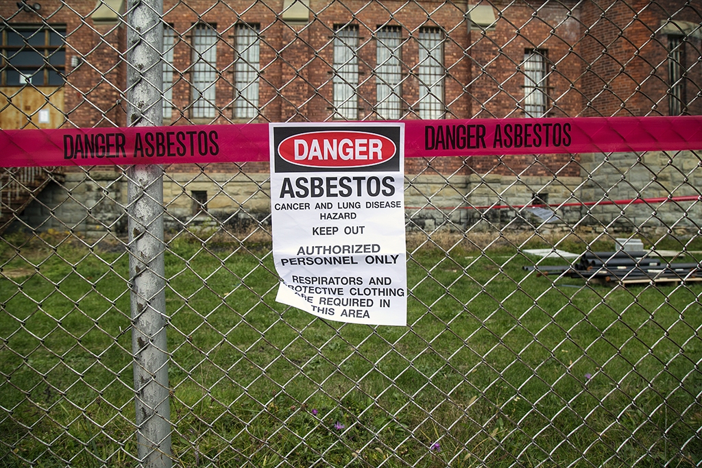 Asbestos Garden