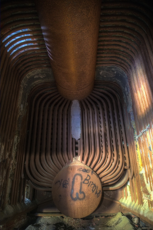 In the Belly of the Beast