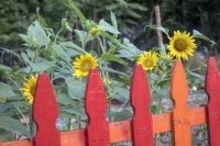 Good Fence Good Neighbours