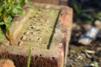 A Terry Bros Brick