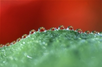 It's the Little Things