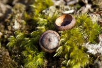 Half Full Half Empty