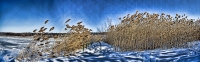 Saugerties NY