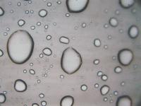 April Shower