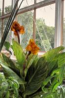 2nd Bloom