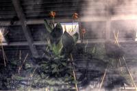 Day of the Triffids
