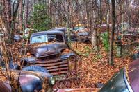 Treasure Trove