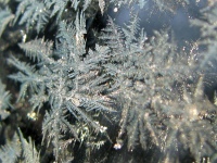Love the Crystals