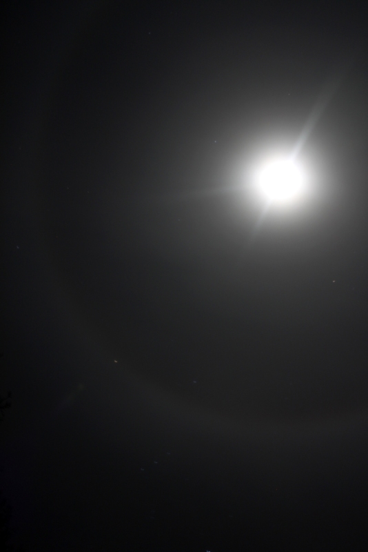 Moon Rings