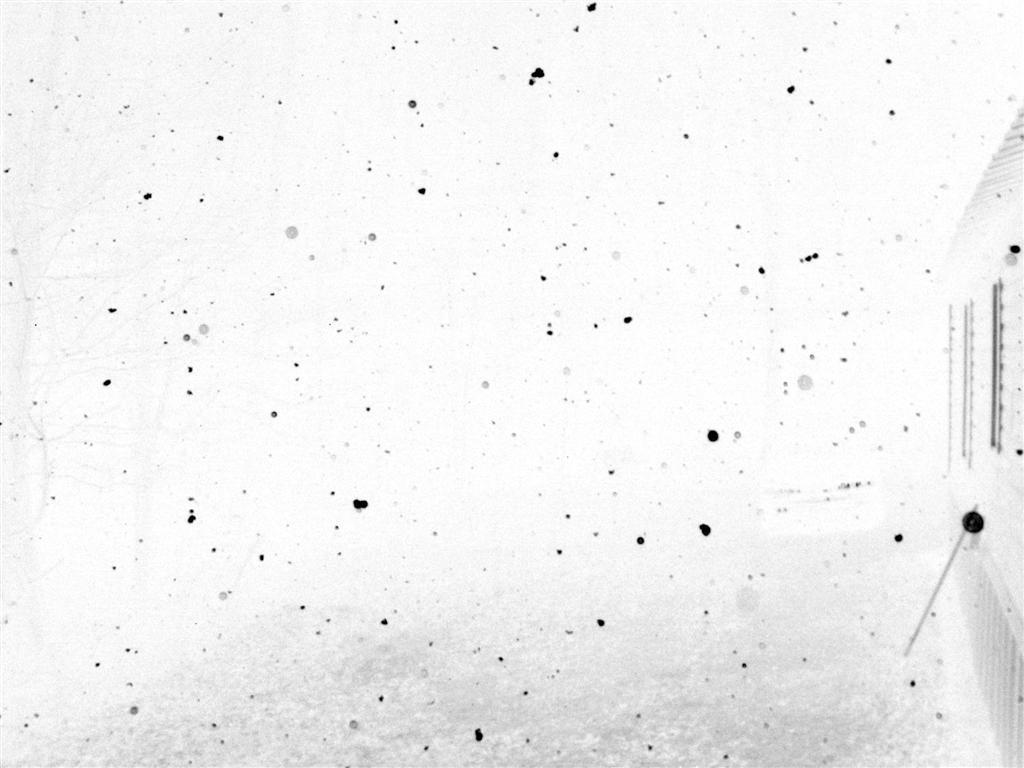 Snow