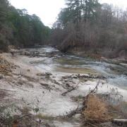 Bayou Camping