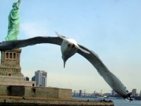 FlyBy