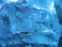 Ice Age