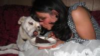 Let Them Eat Cake