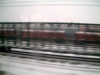 Train Windows