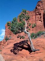 Sedona
