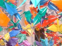 W70th Street - Cranes in the trash
