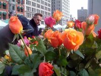 Union Square