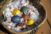 Fay's Hoard