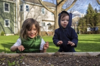 Garden Gremlins