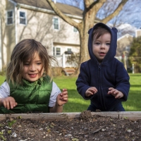 Garden Gremlins