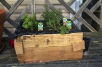 Primitive Pallet Planter