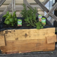 Primitive Pallet Planter
