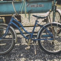 Sweet Ride
